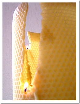 candela tubolare di cera d'api,  closeup