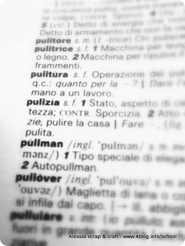 Sponsored Post: Pulizie, plurale femminile o no!? #angoliocurve