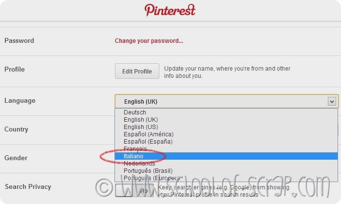Pinterest da oggi è disponibile in italiano
