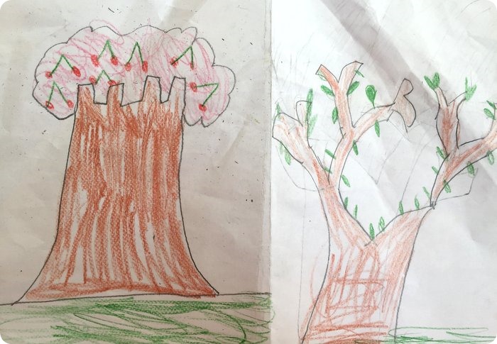 Sai disegnare un albero_Ce lo insegna Bruno Munari!