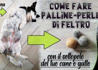 Non solo Uncinetto: tutorial palline di feltro con sottopelo del tuo cane o gatto